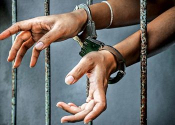 پلوامہ میں لشکر کا ماڈیول تباہ، 6 جنگجواعانت کار گرفتار: پولیس