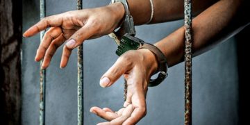 پلوامہ میں لشکر کا ماڈیول تباہ، 6 جنگجواعانت کار گرفتار: پولیس