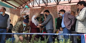 گورنمنٹ گرلز ماڈل ہائر سیکنڈری اسکول کولگام  میں عالمی یوم جنگلات و شجرکاری مہم کا انعقاد