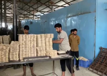 جنوبی کشمیر کا اوکھو گاؤں ’پنسل ولیج آف انڈیا‘ کیسے بن گیا