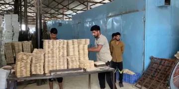 جنوبی کشمیر کا اوکھو گاؤں ’پنسل ولیج آف انڈیا‘ کیسے بن گیا