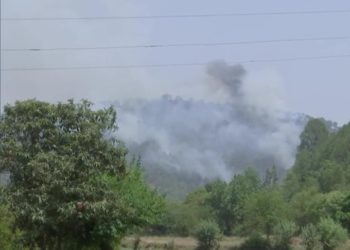 خشک سالی کا شاخسانہ: جموں وکشمیر کے جنگلوں میں آتشزدگی