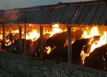 پونچھ کے سرنکوٹ میں آگ کی واردات میں 11 مویشی ہلاک