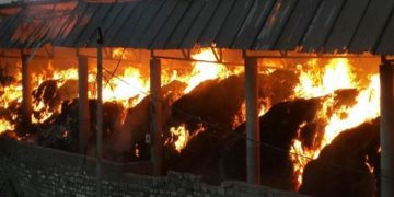پونچھ کے سرنکوٹ میں آگ کی واردات میں 11 مویشی ہلاک