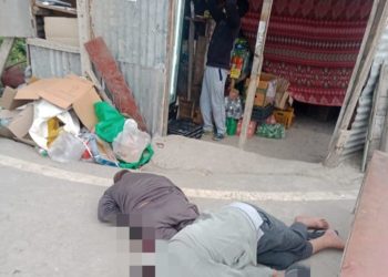 پلوامہ میں مشتبہ جنگجووں کی فائرنگ ”آر پی ایف “میں تعینات ایک اہلکار از جان ، ساتھی زخمی