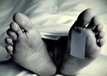 اننت ناگ میں محکمہ بجلی کا عارضی ملازم کرنٹ لگنے سے لقمہ اجل