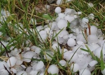 جنوبی کشمیرکے متعدد علاقوں میں شدید ژالہ بھاری کھڑی فصلوں اور میوہ باغات کو نقصان