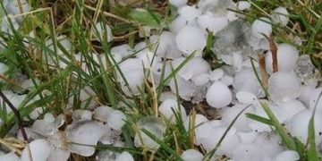 جنوبی کشمیرکے متعدد علاقوں میں شدید ژالہ بھاری کھڑی فصلوں اور میوہ باغات کو نقصان