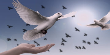 امن میں ایک ساتھ رہنا