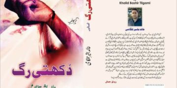 دکھتی رگ ایک جائزہ