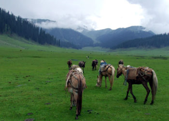 وادی بنگس کی بے مثال خوبصورتی !