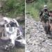 چنگام چھاترو کشتواڑ علاقے میں سومو گاڑی حادثے کی شکار :7مسافر ہلاک 5شدید زخمی