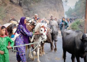 پہاڑی قبیلہ :4سالوں سے حکومت ِ جموں وکشمیر کی عدم توجہی کا شکار