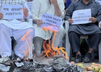 کشمیر میں تمام فروٹ منڈیاں بطور ہڑتال2دنوں کے لئے بند