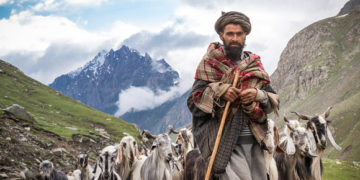 جموں سرینگر قومی شاہراہ پر پیدل خانہ بدوشوں کے مویشیوں کی نقل و حرکت پر پابندی