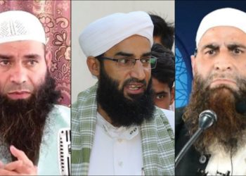 جنوبی کشمیر کے دو بااثرعلما سمیت پانچ افراد پی ایس اے کے تحت گرفتار