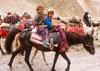 وادی کشمیر میں سردی شروع ہونے کے ساتھ ہی بکروال بھیڑ بکریاں لے کر جموں کی طرف روانہ