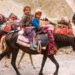 وادی کشمیر میں سردی شروع ہونے کے ساتھ ہی بکروال بھیڑ بکریاں لے کر جموں کی طرف روانہ