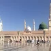 حضرت محمد مصطفیٰ ﷺ کی شانِ رحمت