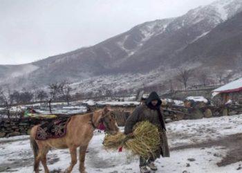 موسم سرما کی جدوجہد