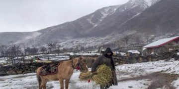 موسم سرما کی جدوجہد