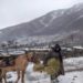 موسم سرما کی جدوجہد
