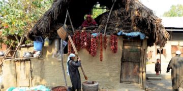 دیہی علاقوں میں تولیدی صحت کے مسائل