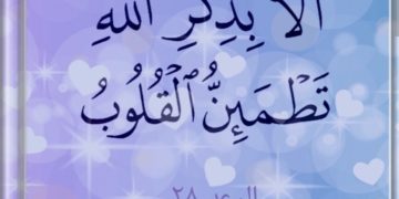 سکون کی تلاش..!