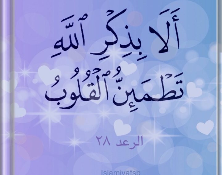 سکون کی تلاش..!