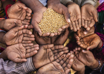 مفت سرکاری چاول اور علما کی بھیک