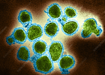 جموں وکشمیرمیں بھی H3N2نامی وائرل انفیکشن کی دستک:50دنوںمیں 103میں سے47افراد وائرس سے متاثر