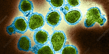 جموں وکشمیرمیں بھی H3N2نامی وائرل انفیکشن کی دستک:50دنوںمیں 103میں سے47افراد وائرس سے متاثر