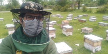 برطانیہ سے واپس آنے والا کشمیری فلمساز کیسے شہد کی مکھیاں پالنے والا بن گیا