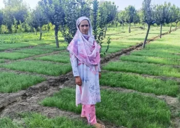 بارہمولہ کی پولیٹیکل سائنس گریجویٹ چسپیدہ بانوزرعی کھیتی میں رول ماڈل بن گئیں