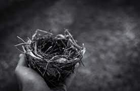 خالی گھونسلہ کے باسی ، تصویر کا دوسرا رخ