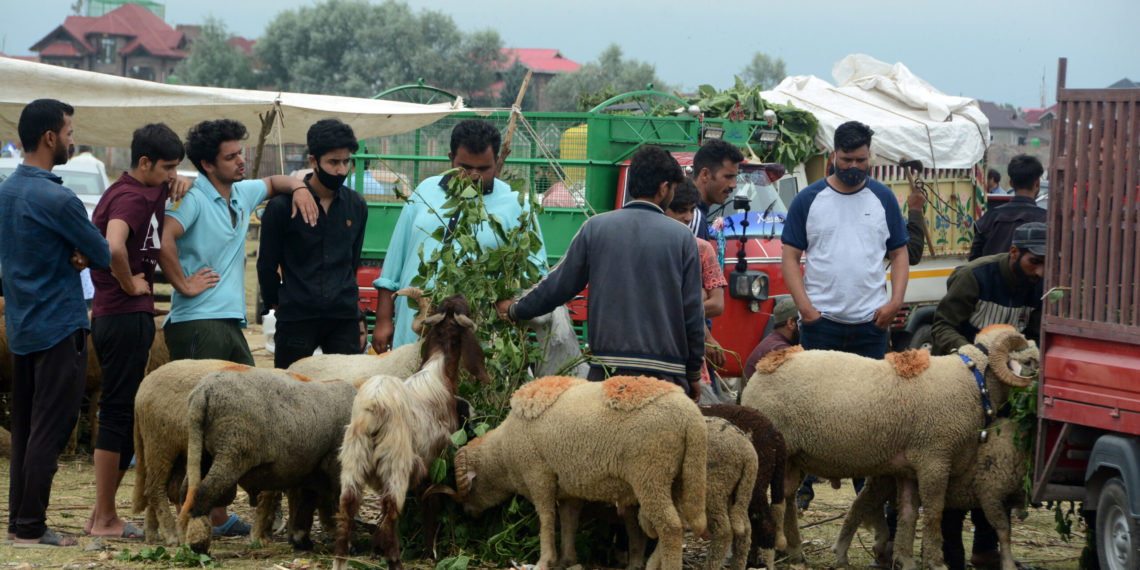 عید الاضحیٰ کی آمدمیں چند دن باقی ،قربانی کے جانوروں کی قیمت مقررنہیں