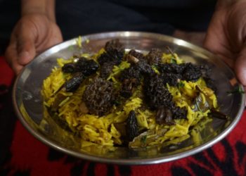 کشمیر کی کھمبیاں جو فی کلو ’30 ہزار روپے‘ تک ملتی ہیں