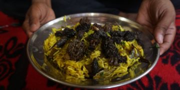 کشمیر کی کھمبیاں جو فی کلو ’30 ہزار روپے‘ تک ملتی ہیں