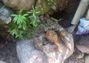 پونچھ : 11گرینیڈ اور 50زنگ آلودہ شیلوں کو ناکارہ بنایا گیا