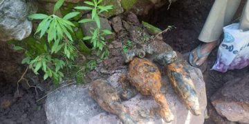 پونچھ : 11گرینیڈ اور 50زنگ آلودہ شیلوں کو ناکارہ بنایا گیا