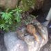 پونچھ : 11گرینیڈ اور 50زنگ آلودہ شیلوں کو ناکارہ بنایا گیا