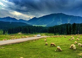 بڈگام سے دودھ پتھری تک 5مقامات پر ٹول ٹیکس نافذ ،سیاحتی انجمنیں سیخ پا