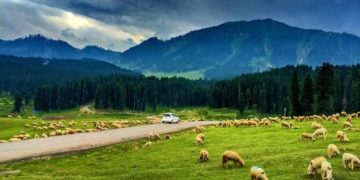 بڈگام سے دودھ پتھری تک 5مقامات پر ٹول ٹیکس نافذ ،سیاحتی انجمنیں سیخ پا