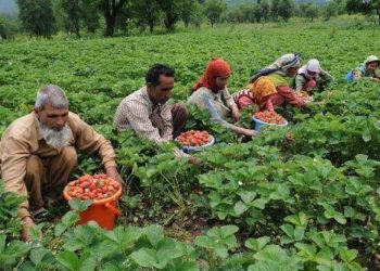 ادھم پور میں 60,000 سے زیادہ کسان پی ایم کسان یوجنا سے مستفیض