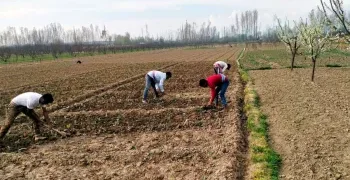 بشیر احمد:اپنی زرعی اراضی پر سبزیاں اگاکر دوسروں کو بھی روزگار فراہم کرنے والا کاشتکار