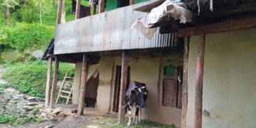 یہ لوگ ہیں کہ اوروں کے سہارے جیتے