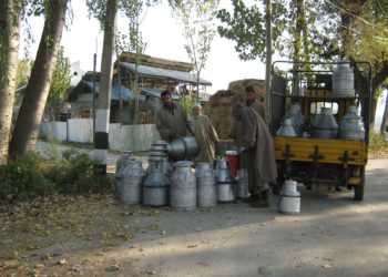 دہی اورخام دودھ کے نام پرمیٹھازہردستیاب
