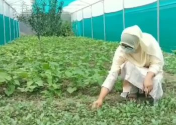 سفینہ مشتاق، جس کی منوج سنہا نے بھی ستائش کی