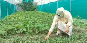 سفینہ مشتاق، جس کی منوج سنہا نے بھی ستائش کی
