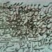 ہندوستانی سماج کی تشکیل نو میں ادب کا حصہ